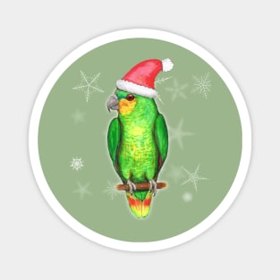 Christmas amazon parrot Magnet